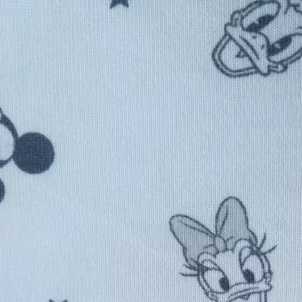 Disney mickey minnie